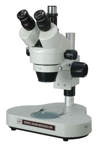 Stereo Microscopes